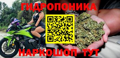 молекула духа Анапа